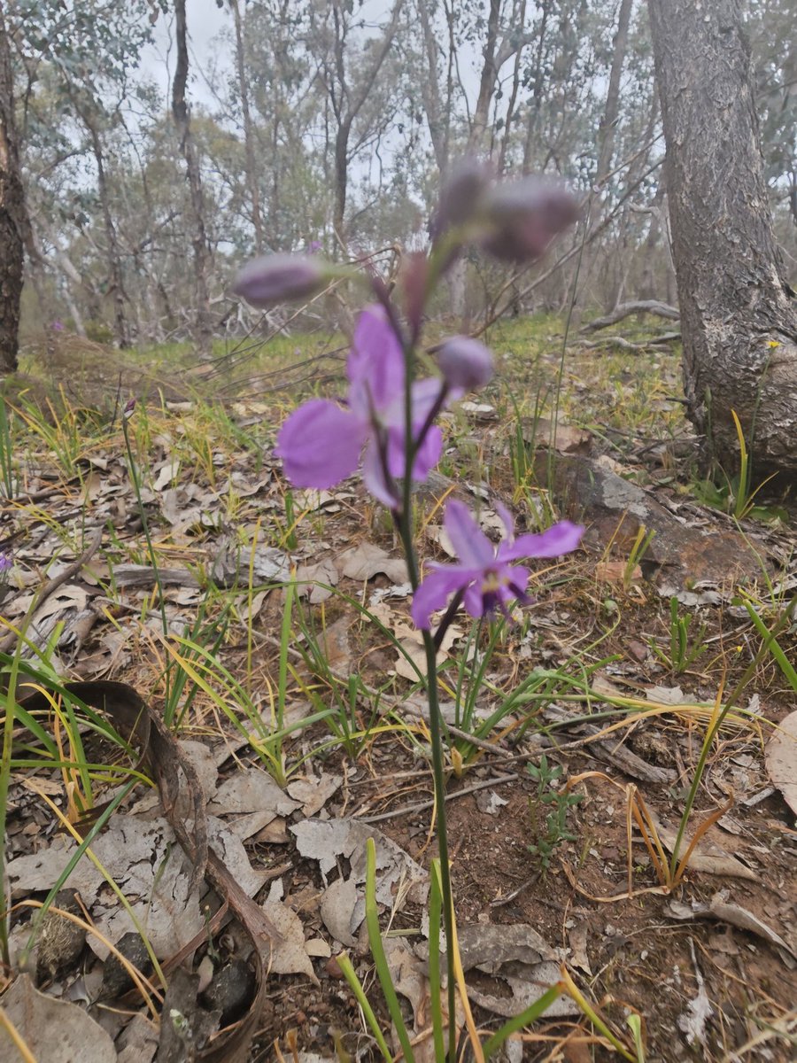 Stuart Barber tweet media