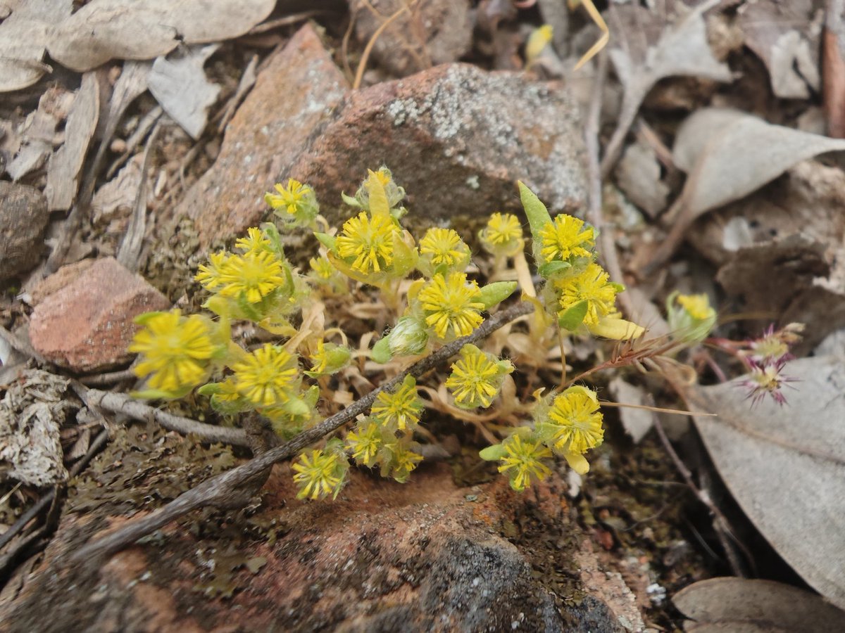 Stuart Barber tweet media