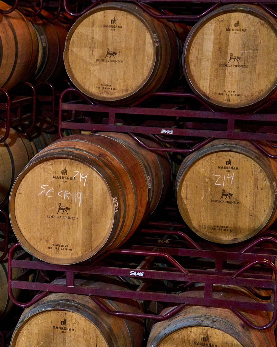 Hace años, nuestros viticultores contaban con la fuerza de los caballos para la vendimia

Hoy, ¡el símbolo del caballo sigue vivo en nuestra memoria y en la imagen de Bodega Pirineos! 🍷