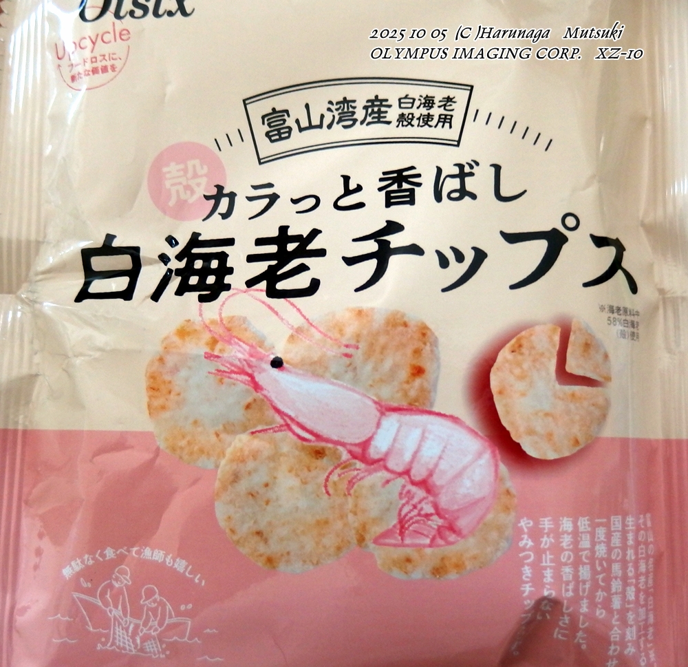 生産者レター - অনুসন্ধান / X