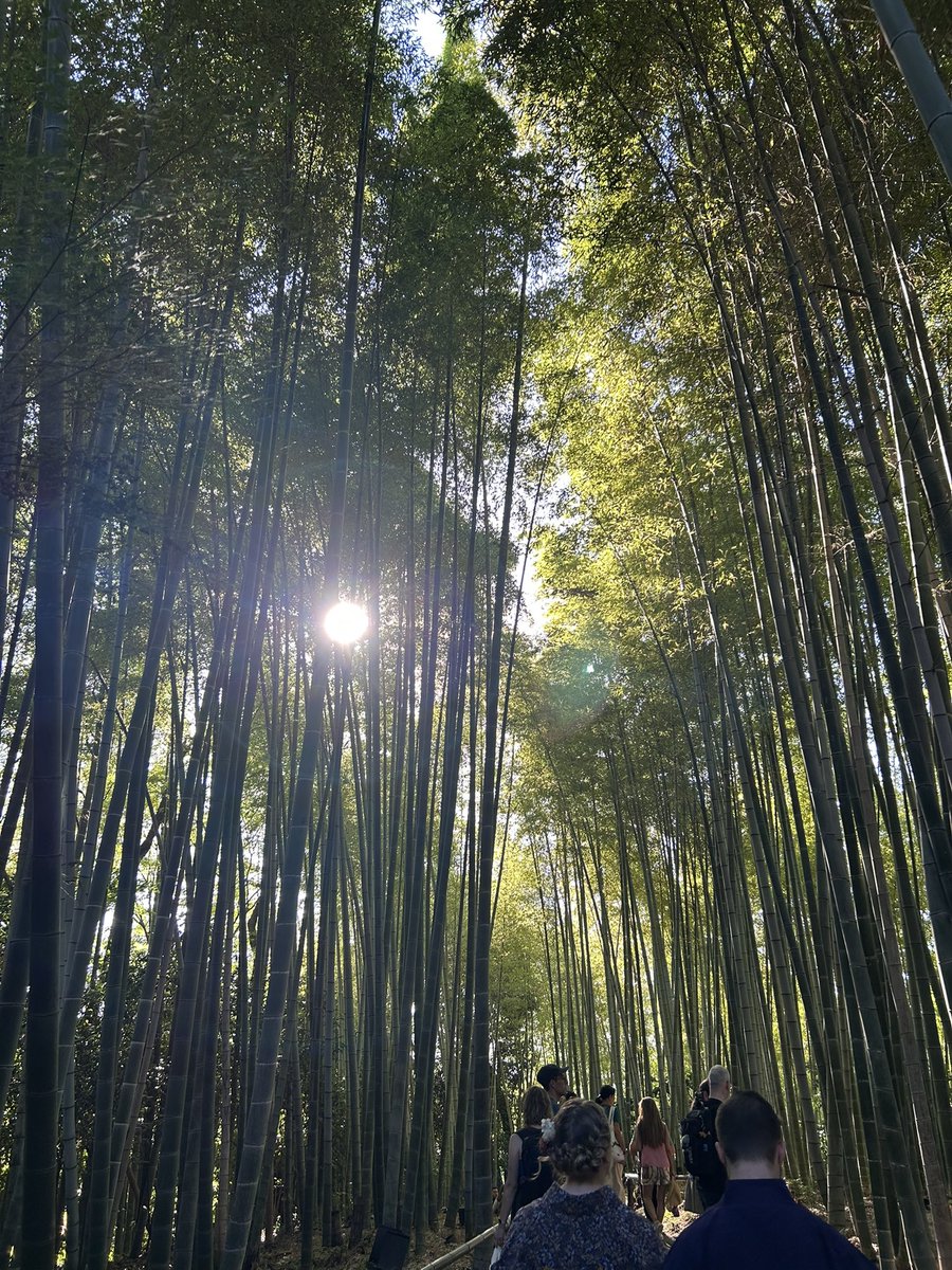 Approaching my 200th day so I’m doing something every day this week to celebraaaate 
Kiyomizu &amp; Kodaiji