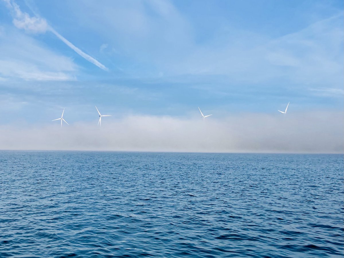 Chester the Crow (@ne_molyneux) on Twitter photo 