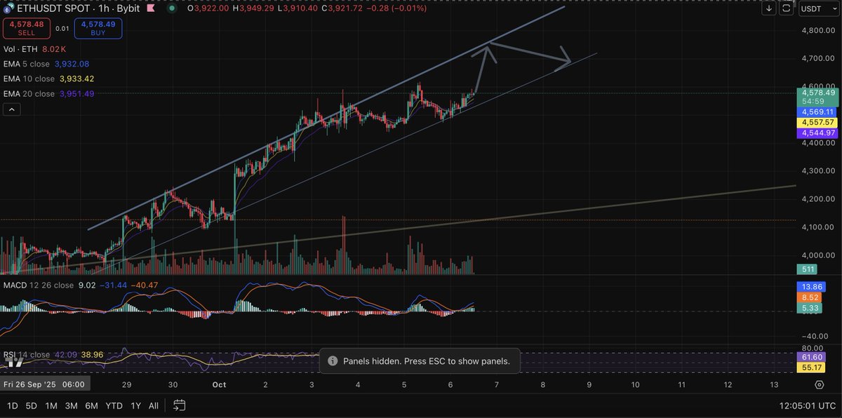 Dies Zero 📉 🧲 tweet media