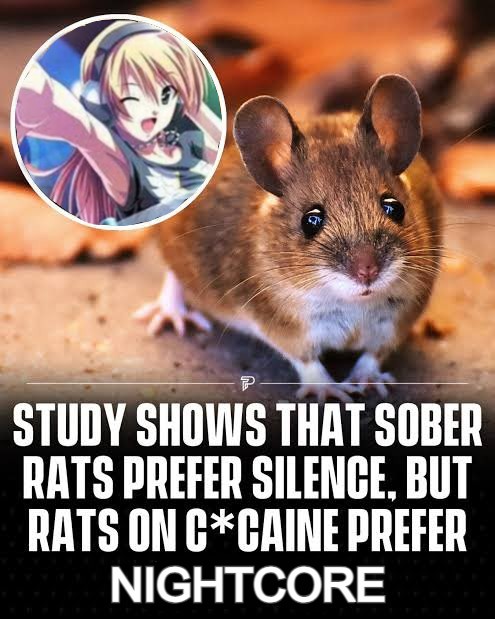 Harmful_Logic's tweet image. 