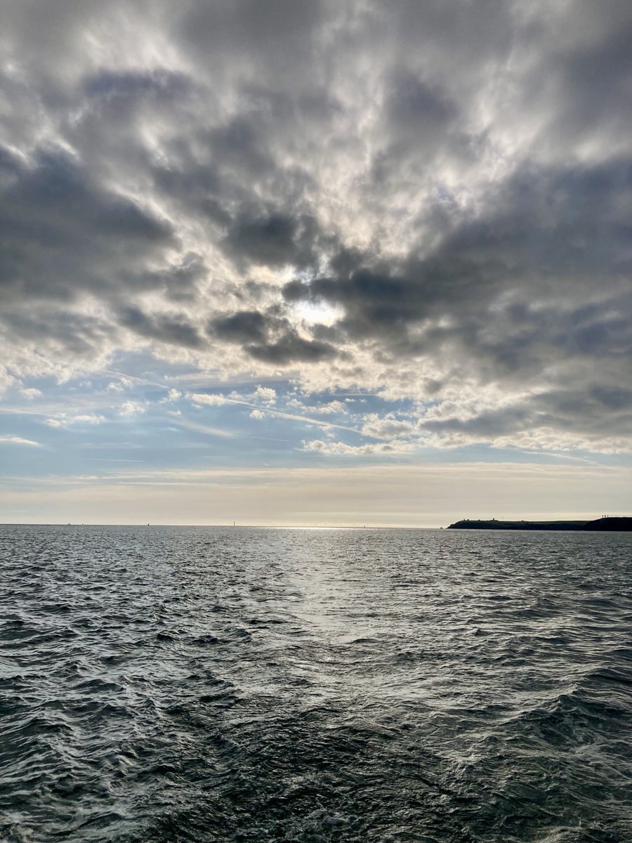 Chester the Crow (@ne_molyneux) on Twitter photo 