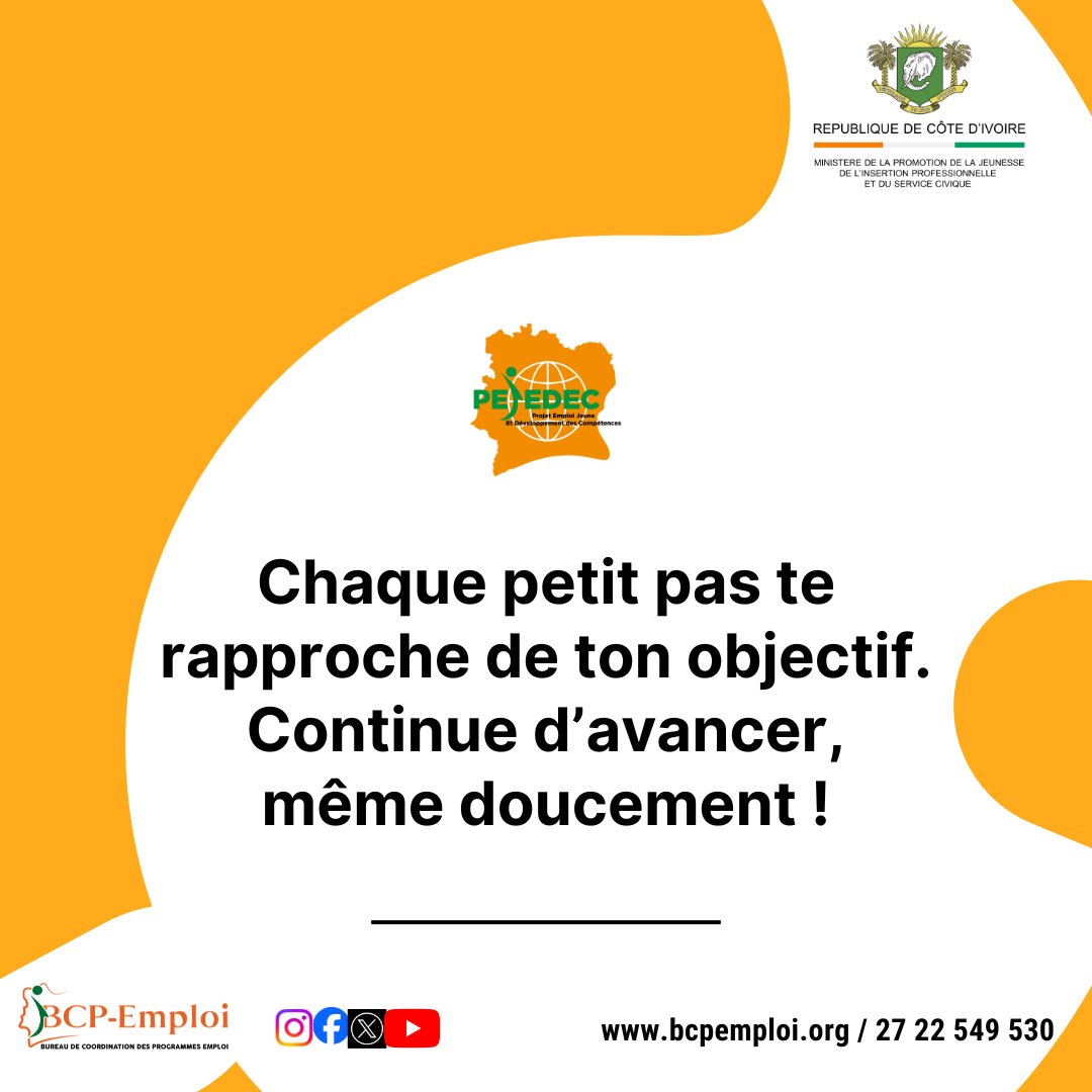 PEJEDEC tweet media