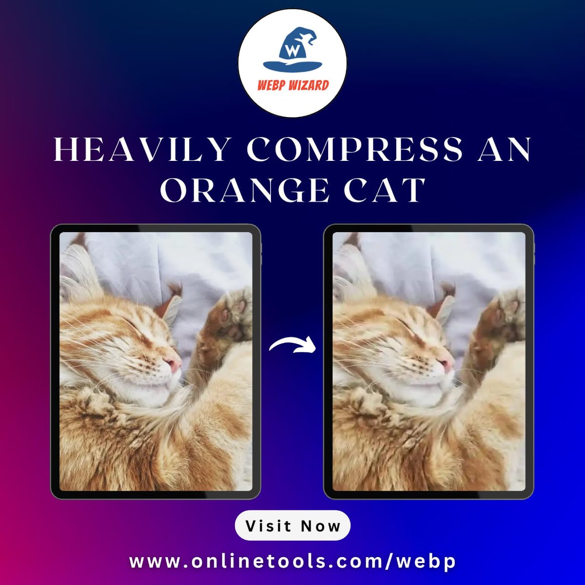 WebpWizard's tweet image. In this example, we apply almost the maximum compression strength to a WebP image of a sleeping orange cat and set it to 90%.
Try our tool - onlinetools.com/webp/compress-…
#browserling #webpcompression #imageoptimization #webptools #imagecompression #webpconverter #onlinetools