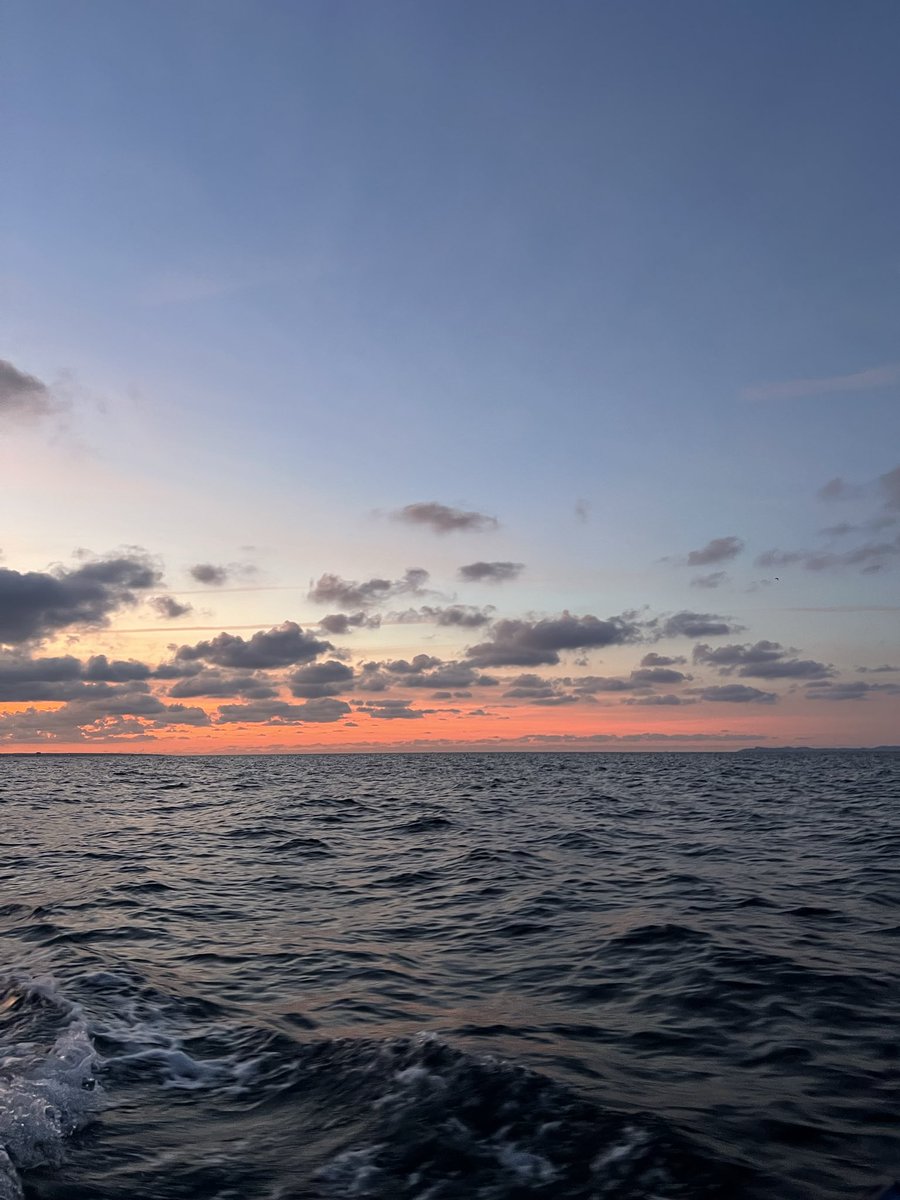 María Botia🦦 tweet media