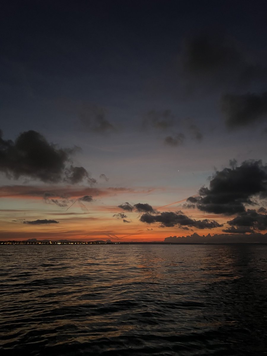 María Botia🦦 tweet media