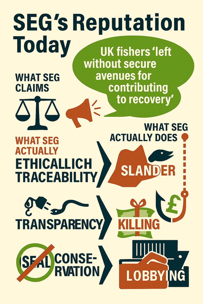 seasaxa's tweet photo. SEG’s Reputation Today
Let’s talk about SEG’s reputation.  
15 years of “protecting” eels — but what does that really mean?  
Behind the green logo lies a system of contradictions, concealment, and control. #SEGWatch #EelCrisis https://t.co/aOJqUnqIsv