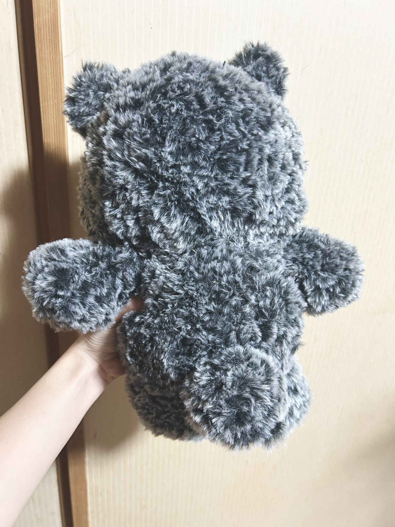 𝕍𝕀𝕍𝔸7̆̈🕴共犯者 (@VIVA7YATTA) / X