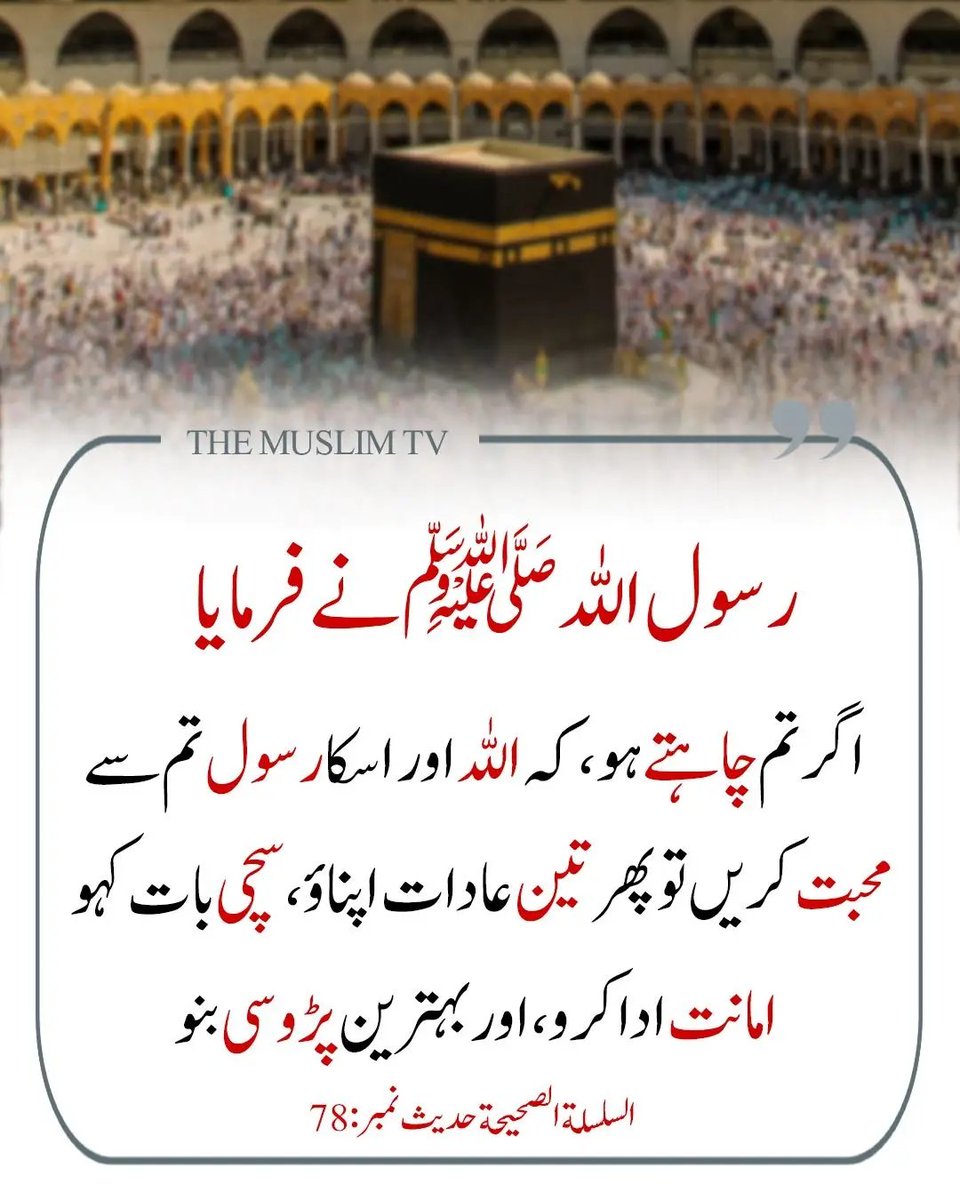 ChotiSheikhni's tweet image. 
