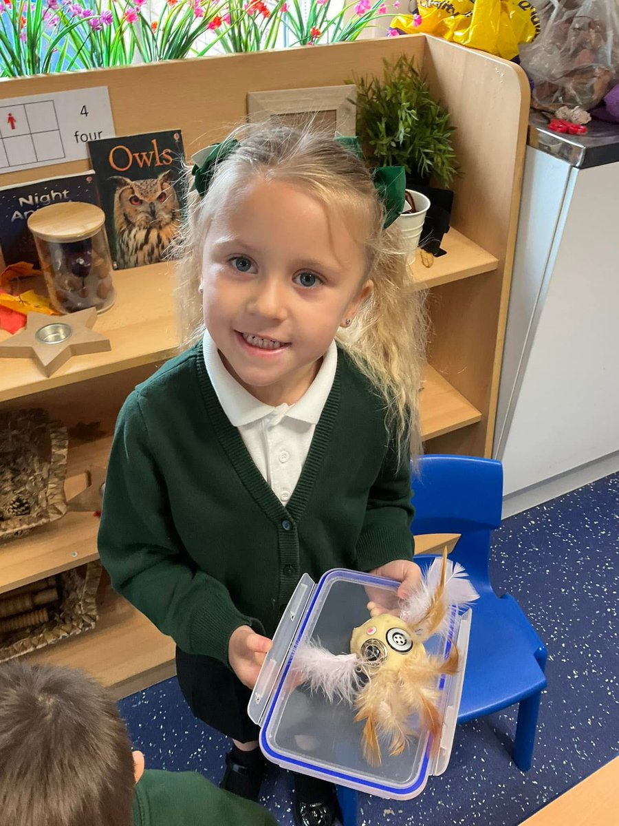 Willow Tree St Helens tweet media