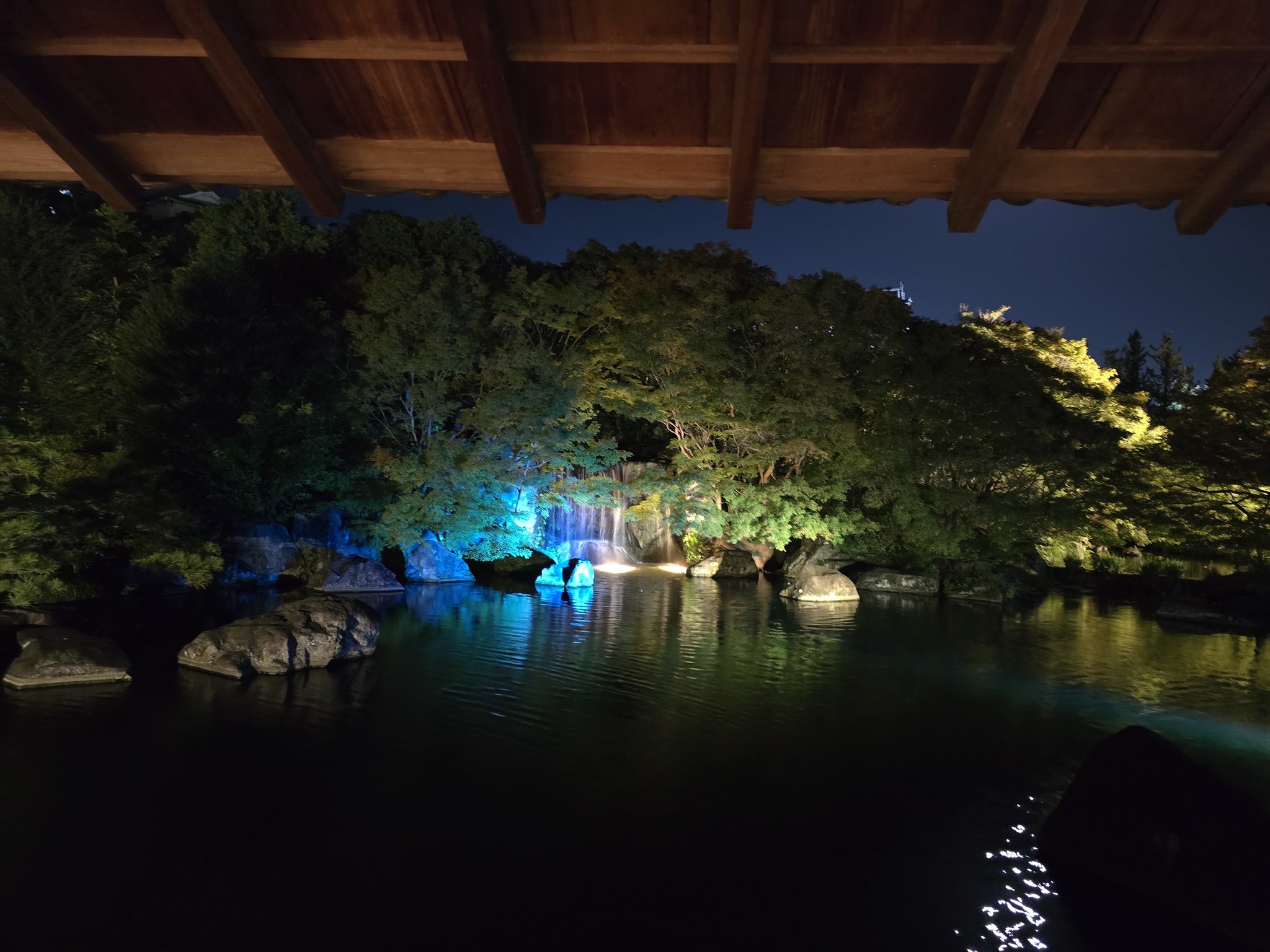 にゃんこ好き(*˘︶˘*).。.:*♡ページ これなんだろう…とにかくねこ成分ゼロな気しかしない… #袋猫