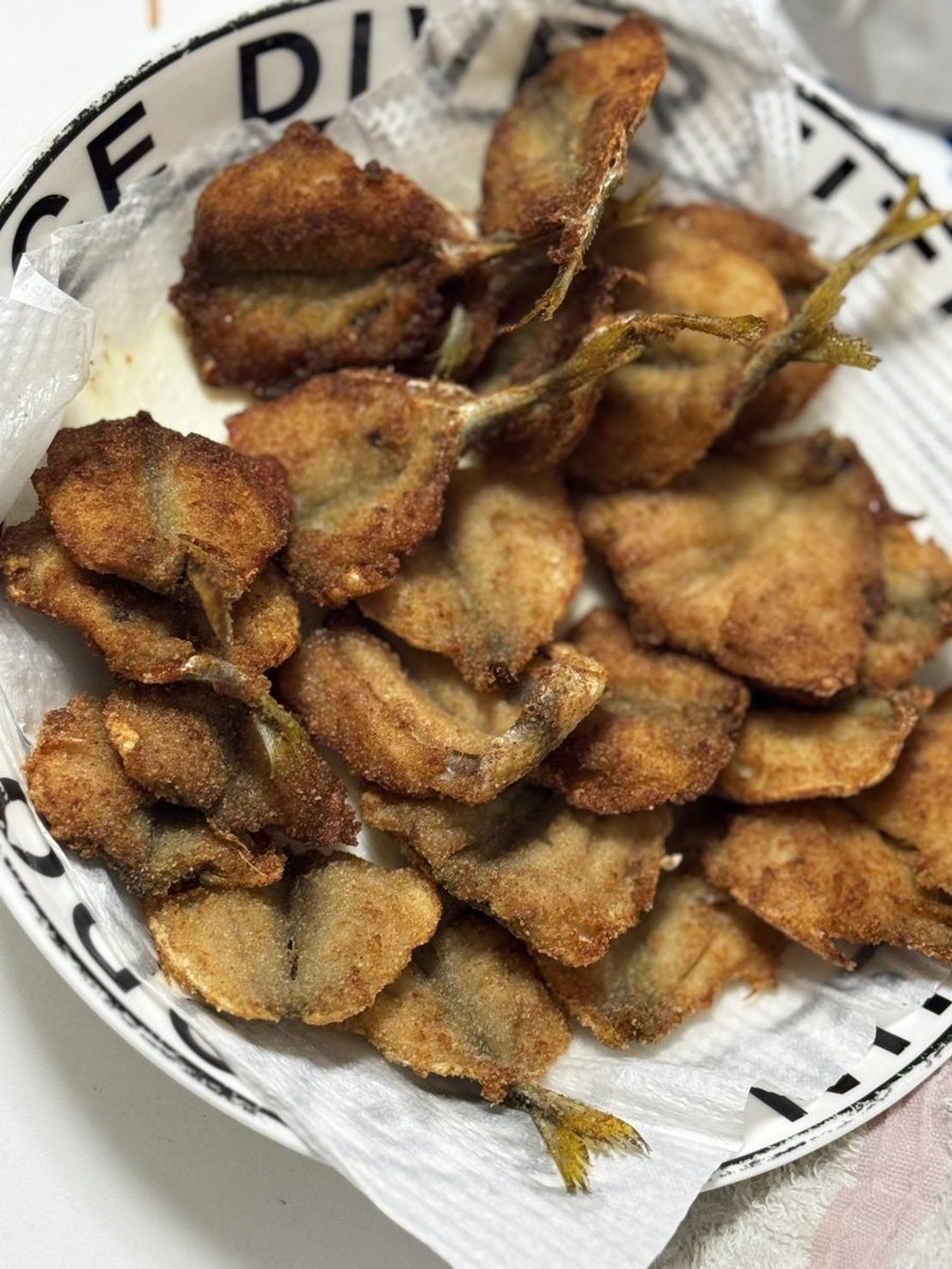 papach0606's tweet photo. 夜勤明けに釣り行って昨日はめーちゃんが豆アジ、今日はサヨリ釣れた😆
今日は予想外のアキちゃんとタンタンが合流してめっちゃおもしろかった😂👍
また一緒に釣り行きましょ🙏
#釣り #汐見埠頭 #アジ #サヨリ https://t.co/fdkMN15S4I