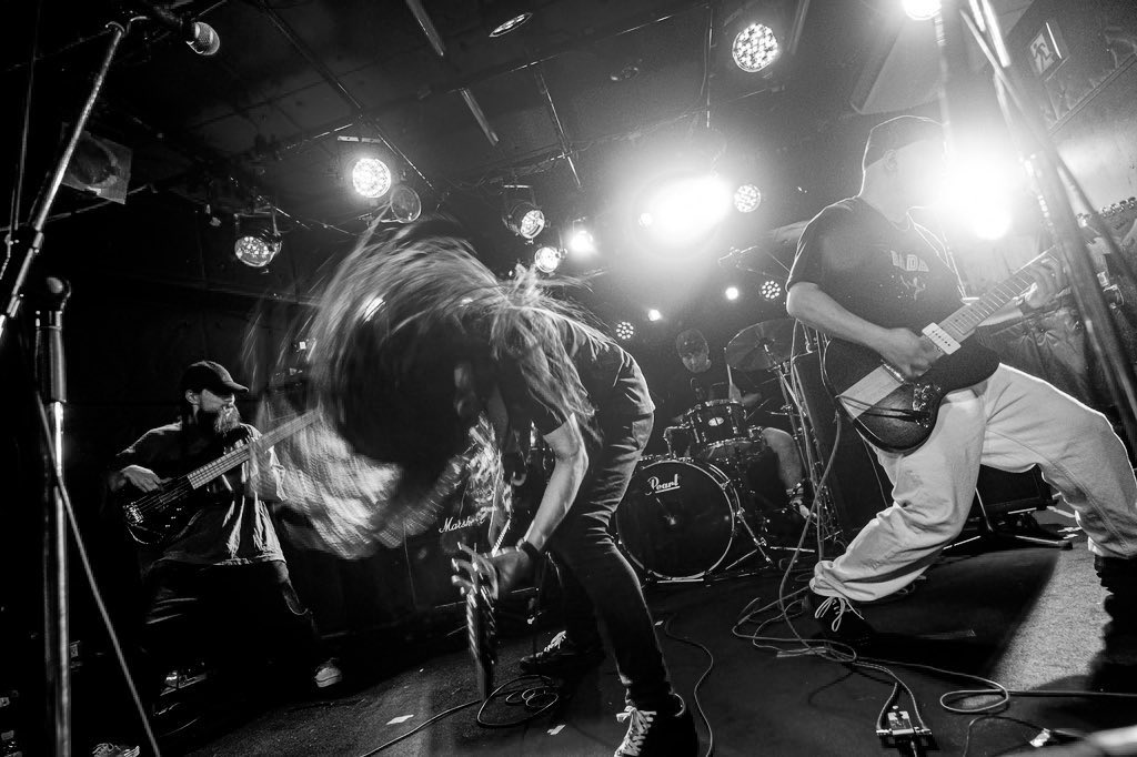 Guys in Question tweet media