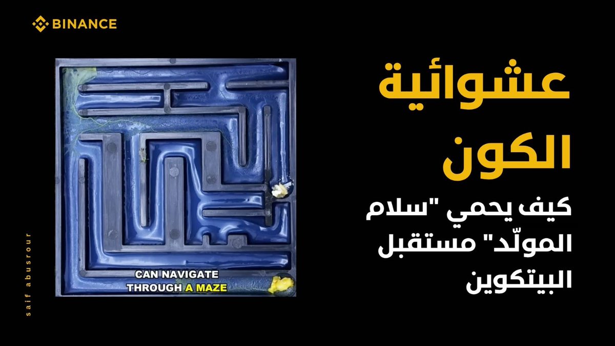 SaifChainz's tweet photo. مستقبل حماية المحافظ الرقمية  عن طريق مفاتيح هجينة من كائنات حية!!! https://t.co/antptuCfpg https://t.co/RufVnJozKX