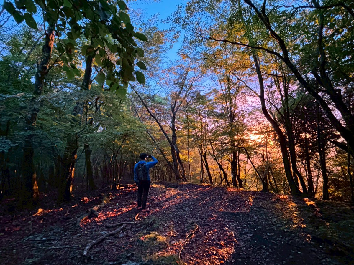 昨日はガッスガスだったんだけどほんの一瞬だけ山が輝いていたんだ✨
こんな景色が見られるんだからやっぱり登らないとわからないよね