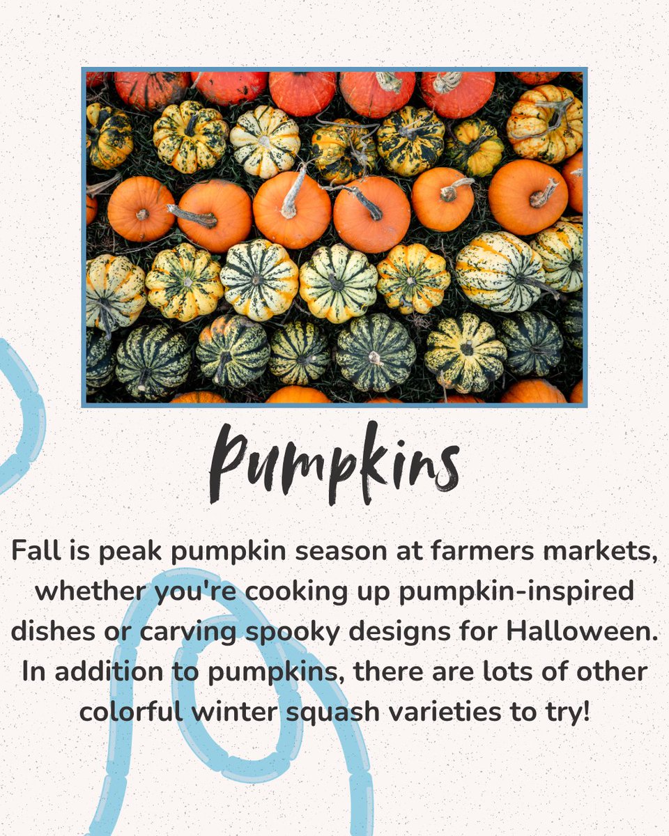 EatRightPhl_DRX's tweet image. October is a great month to visit your local farmers market! Keep reading to see some delicious seasonal picks. #EatRightPhilly #SnapEd #SnapEdWorks #BeHealthyPA #FallProduce