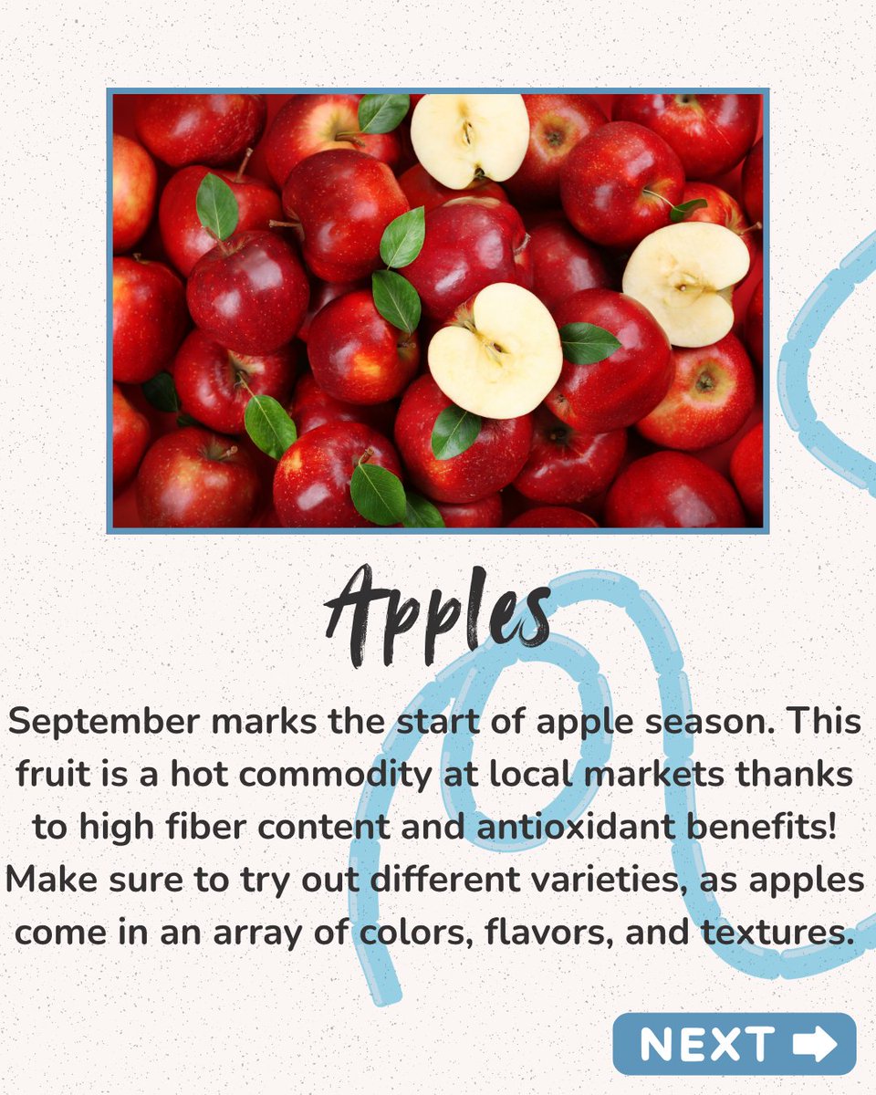 EatRightPhl_DRX's tweet image. October is a great month to visit your local farmers market! Keep reading to see some delicious seasonal picks. #EatRightPhilly #SnapEd #SnapEdWorks #BeHealthyPA #FallProduce
