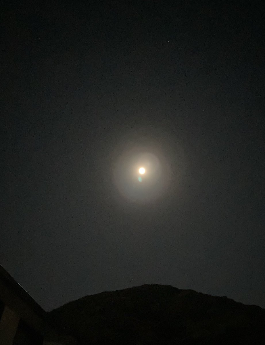 springm385's tweet image. 無心販売で100円で買った
小さな栗🌰とお月さま🌕✨

#十五夜