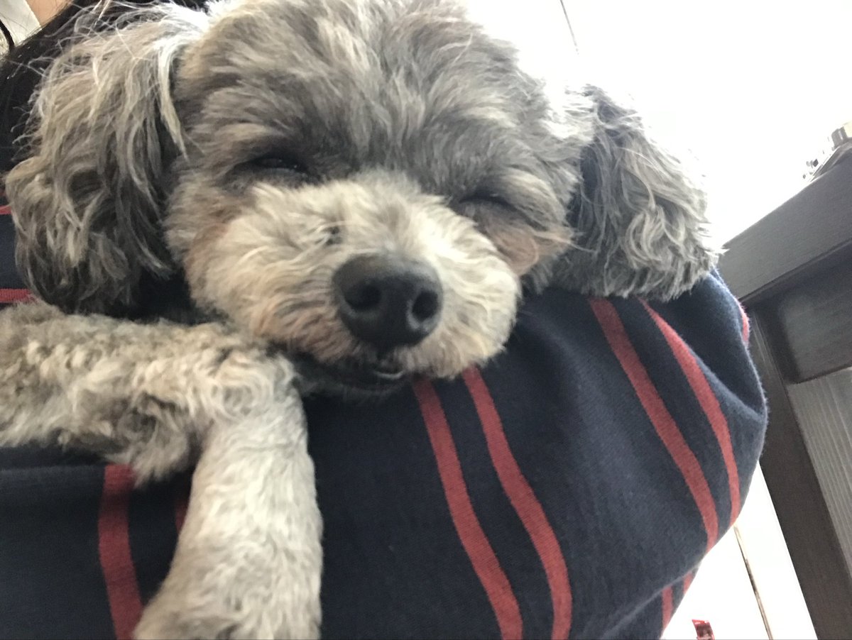 1ovelog's tweet image. 가나디 웃는 사진 공유합니다~!!
늦었지만 즐거운 명절연휴 보내세요