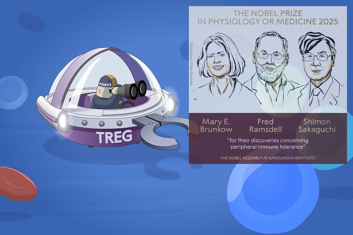 1️⃣ Nobel Prize in Medicine (2025): Brunkow, Ramsdell &amp; Sakaguchi — honored for uncovering the role of regulatory T cells (Tregs) in immune tolerance.

#nobelprize2025