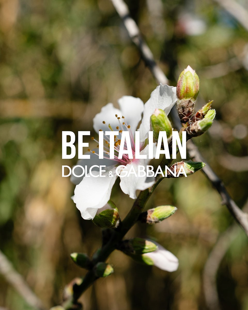 dolcegabbana's tweet image. #DolceGabbana, patron of FAI – Fondo per l’Ambiente Italiano (The National Trust for Italy), celebrates Italian beauty.

@Fondoambiente&apos;s commitment to preserving and enhancing Italy’s heritage is proudly supported by the brand, reflecting a shared dedication to celebrating the…