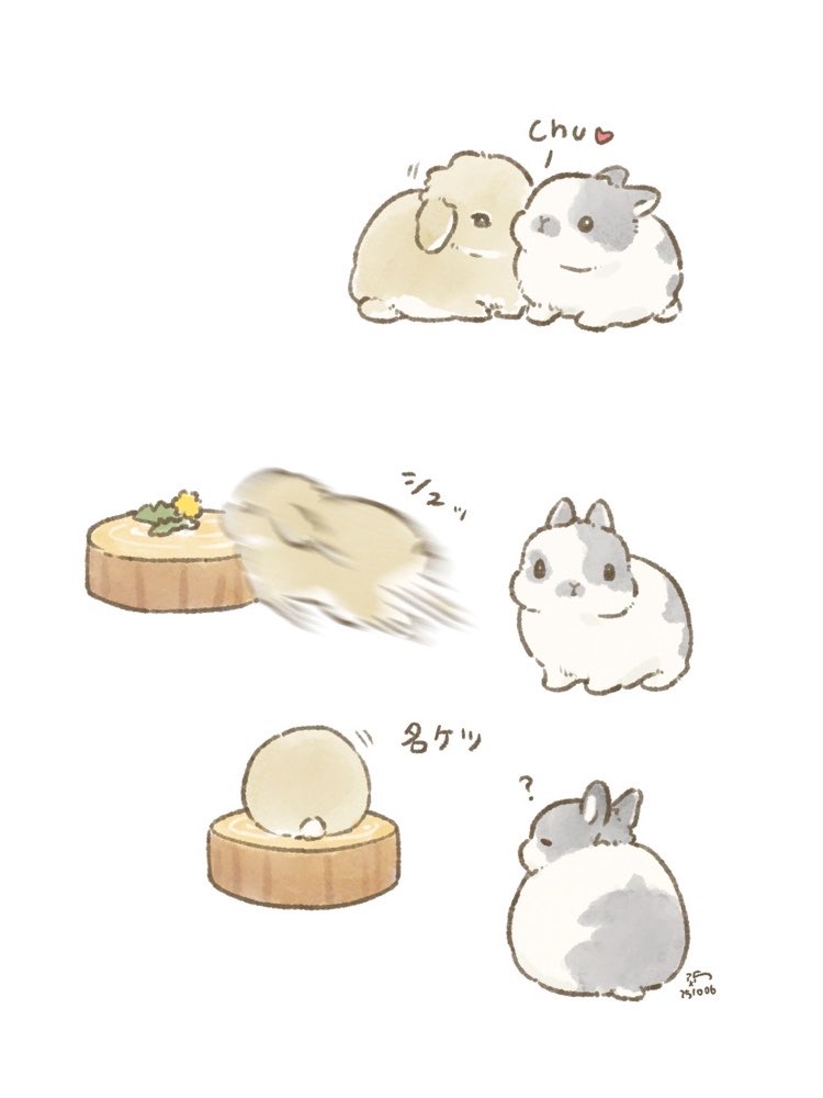 🎑chu-shu-meiketsu🐰