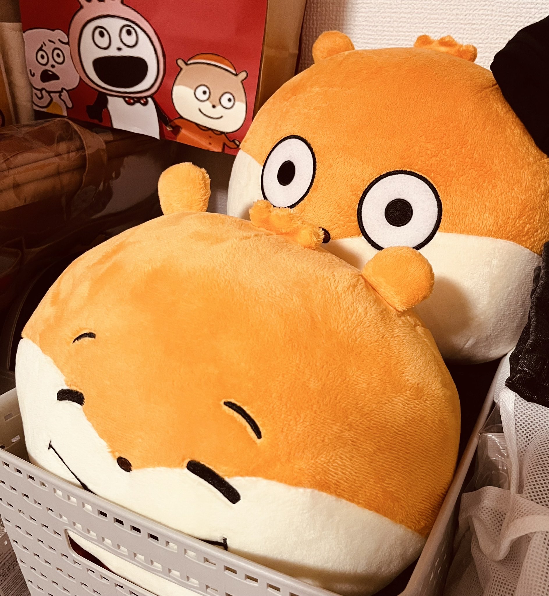 Qoo(*´꒳`*) ＋ねずみ くろねこ on X: 
