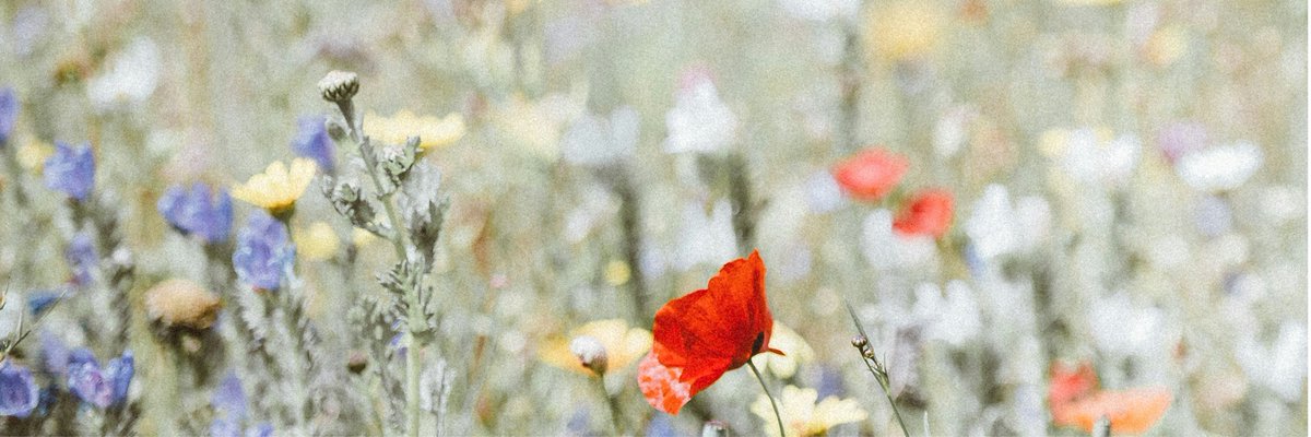 Wrote another piece today...

ziyamg.substack.com/p/the-little-t…