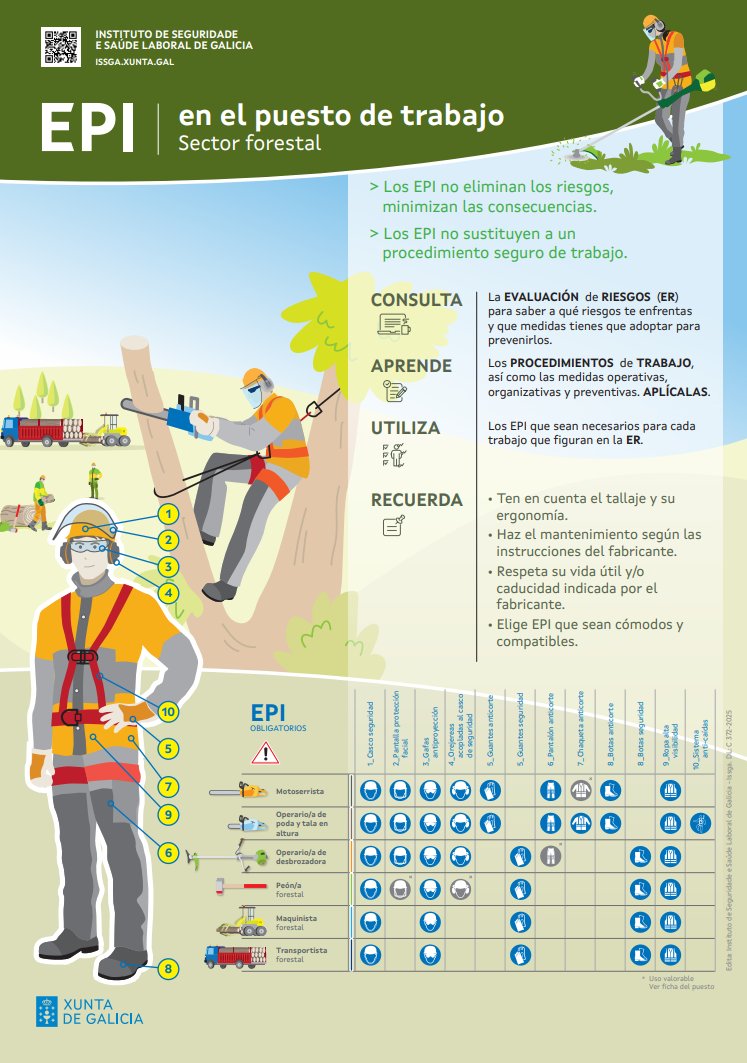 GVAinvassat's tweet photo. 🧤🌿 ¡Nuevo cartel de @issga_xunta sobre #EPIs en el sector forestal!

🛡️ No eliminan riesgos, pero minimizan consecuencias.
🔧 No sustituyen procedimientos seguros, los complementan.

 👉 https://t.co/cXEGVwxCa1

#ISSGA #SeguridadForestal #SectorForestal #PRL #SSL https://t.co/SYtKSf5j6M