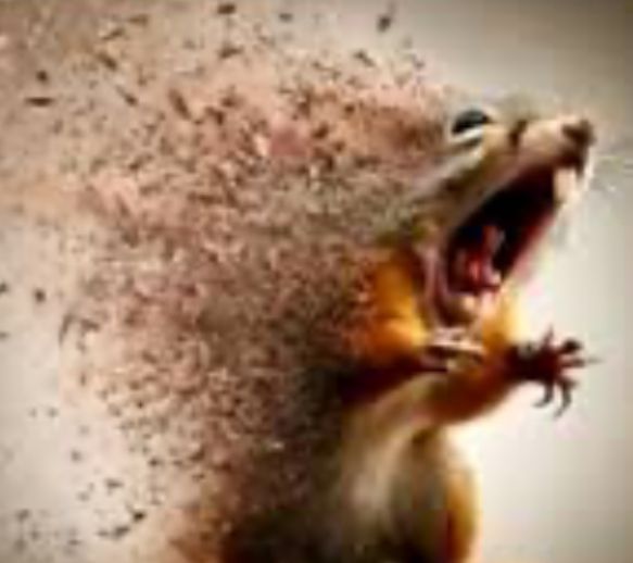 1000PDF Token tweet media