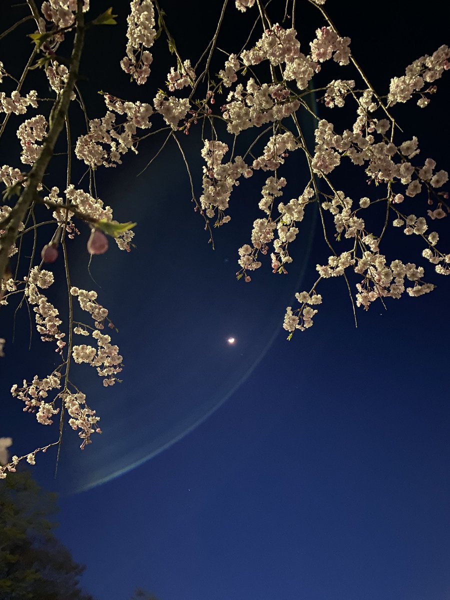 ちー⭐︎さま　専用ページ ブロッコリーオンライン on X