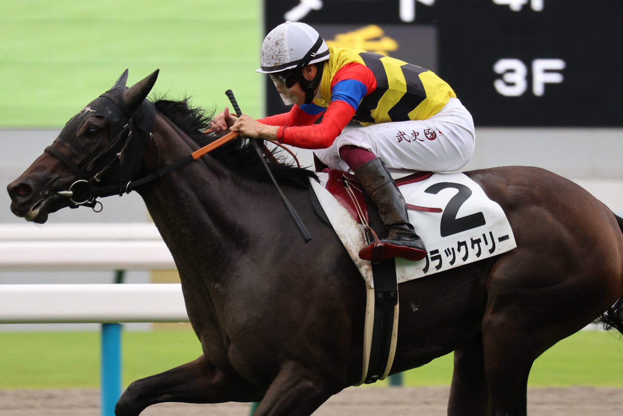 競馬の極み さぶとー on X: 