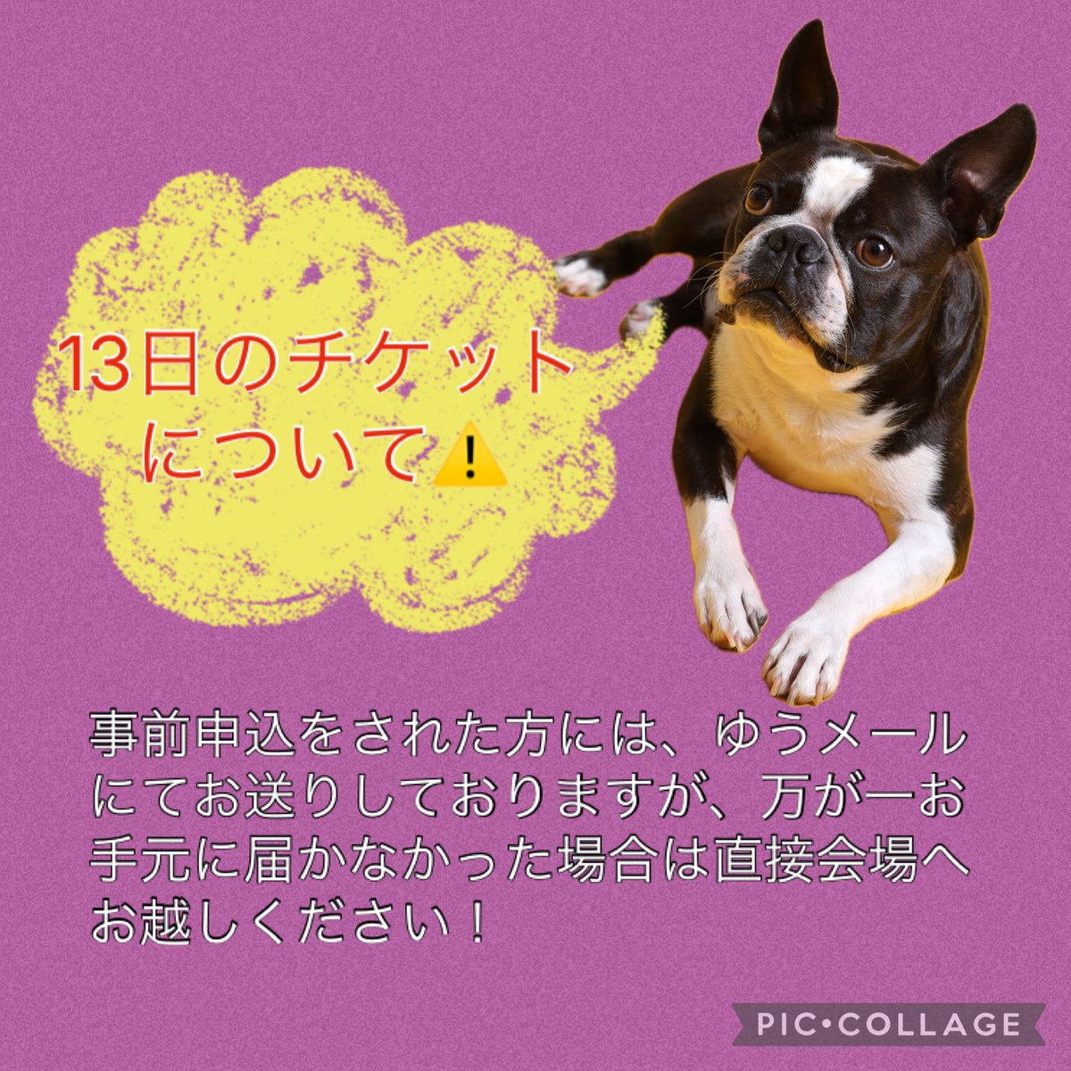 第10回目夢フェス✨是非、ご来場ください🍀
皆様の応援がご出演の皆様の力になります‼️
※13日は事前申込みが必要です‼️lin.ee/IxSPqIZ
#10周年記念
#入場無料
#バルツァ事業会
#奈良新聞社
#夢フェス
#地域貢献事業
#なら100年会館
#タケカワユキヒデ
#JOYSOUND