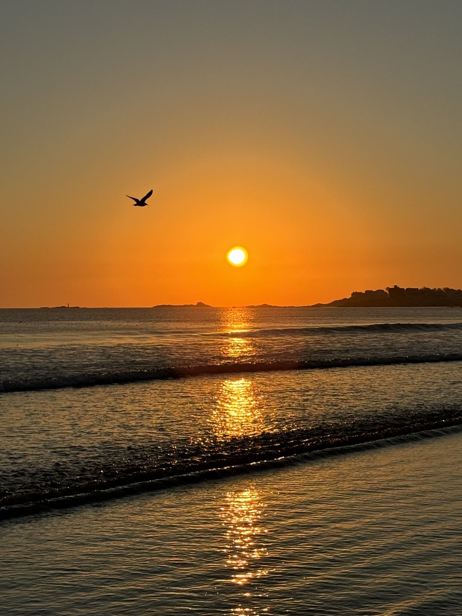 beachchairs's tweet photo. @Met_CindyFitz ☀️good morning https://t.co/5qLMH7SPjw