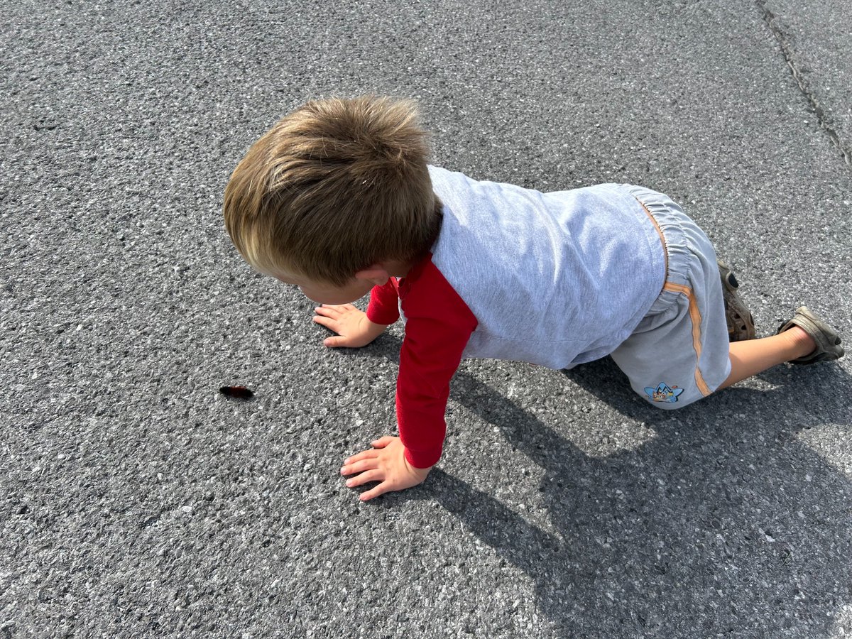 Melissa Constanzer tweet media