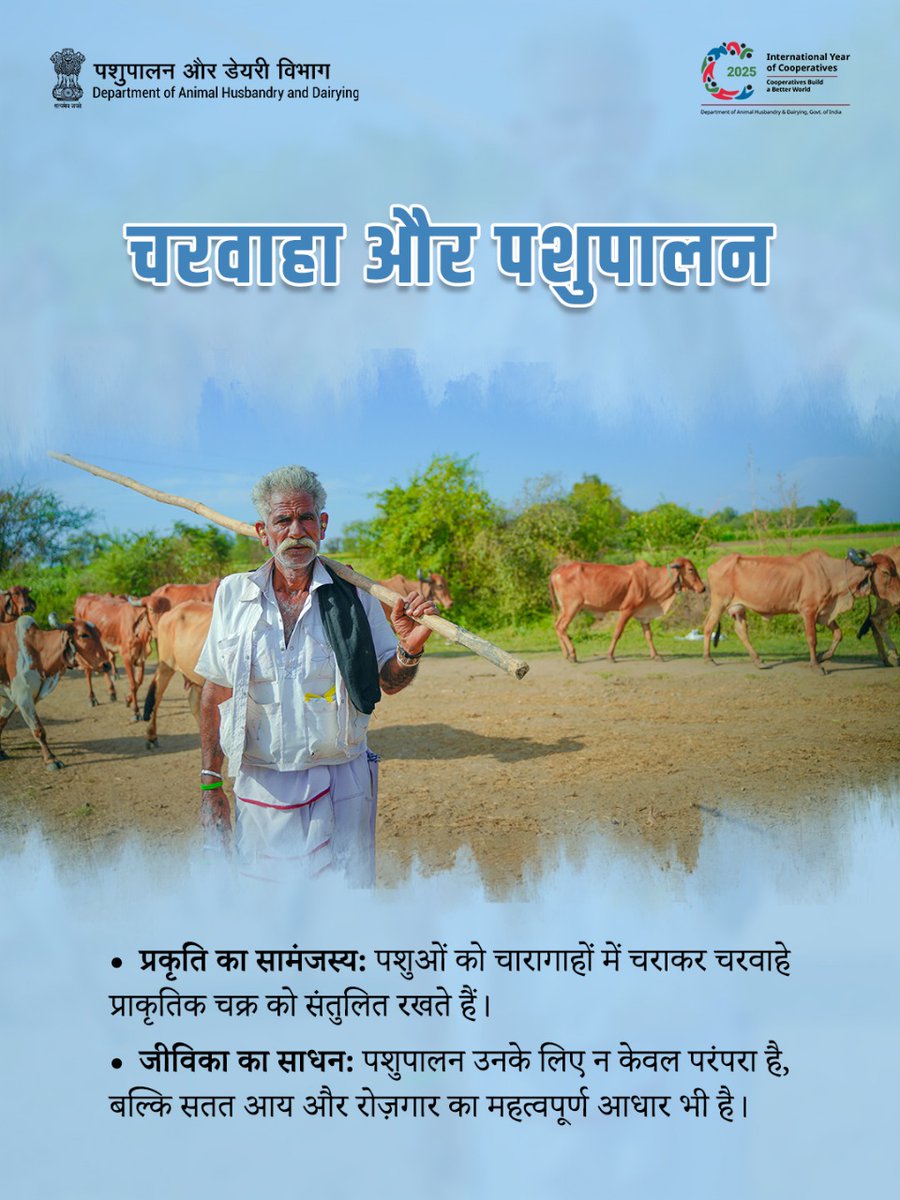 Dept_of_AHD's tweet photo. चरवाहा और पशुपालन
चरवाहे पशुपालन को परंपरा से जोड़ते हैं और चारागाहों से लेकर रोज़गार तक, प्रकृति और समाज के बीच सेतु का काम करते हैं।
#AHIDF #AnimalHusbandry #RuralEntrepreneurship #DairyDevelopment #Cooperatives2025 #MakeInIndia #StartupIndia https://t.co/J9z8uAMpAO