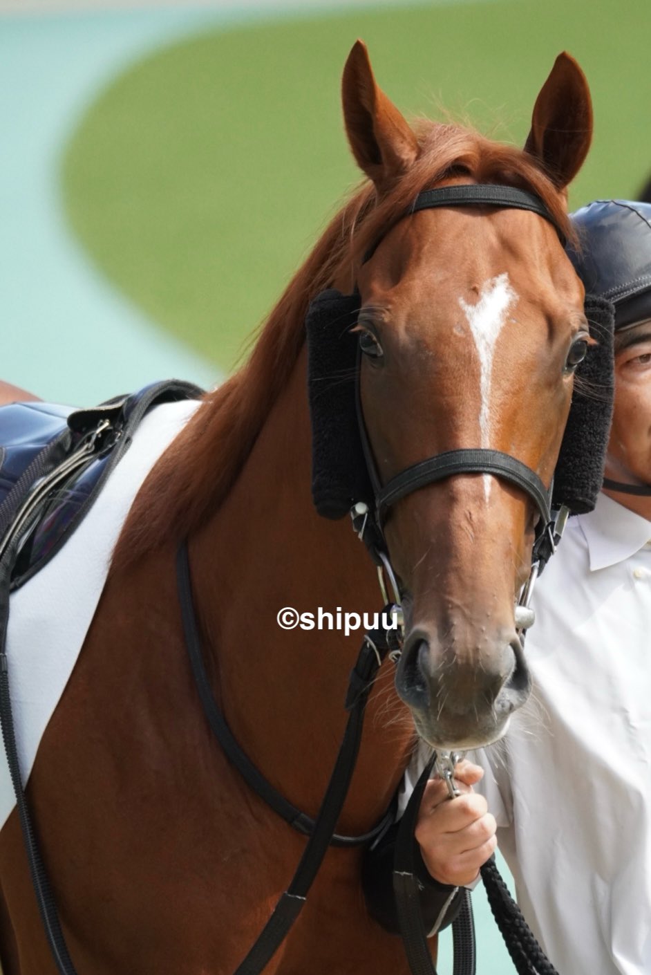 テレスコヴィッチ「競馬場」リトグラフ49/95額56×74.5絵37×55cm テレスコ