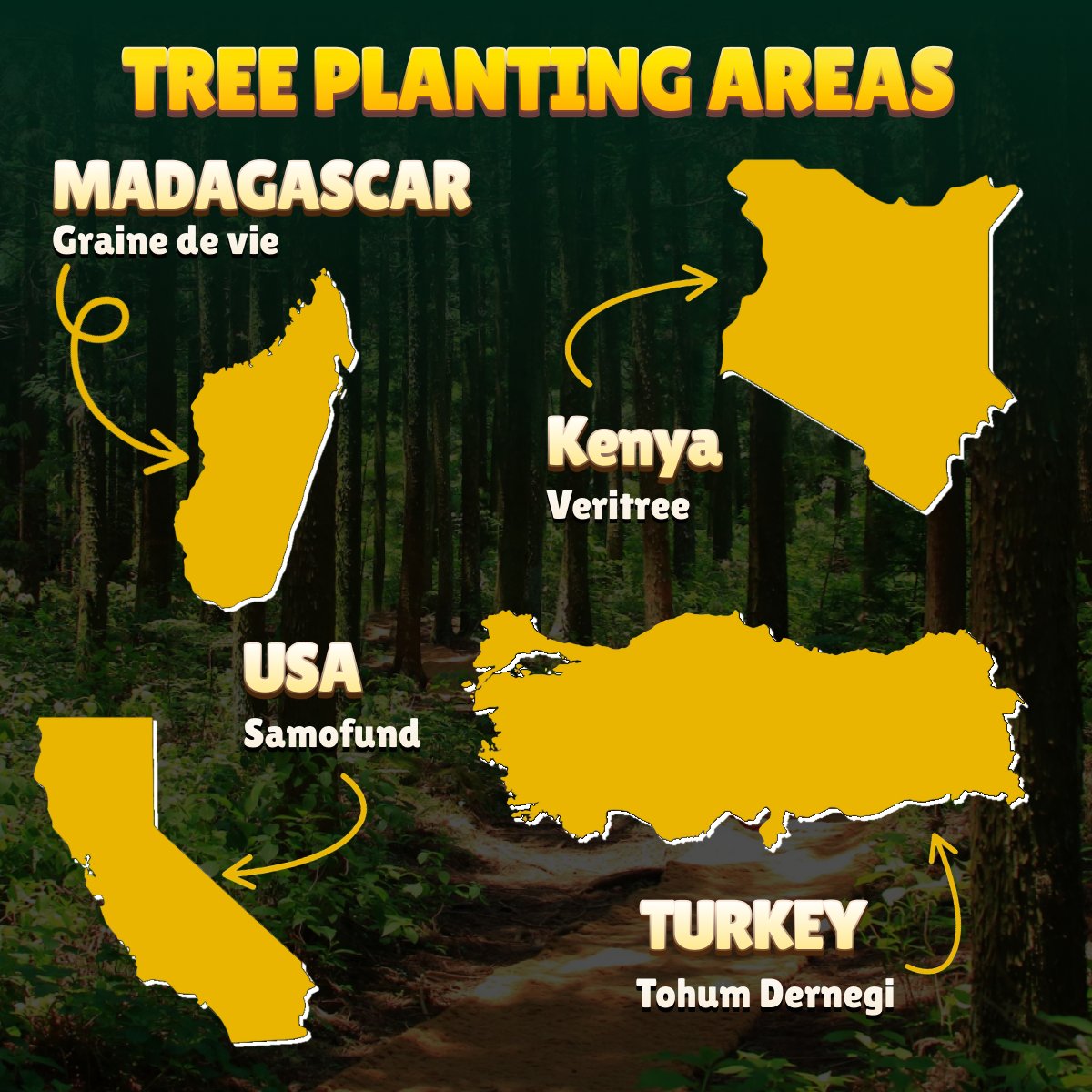 My Lovely Planet tweet media