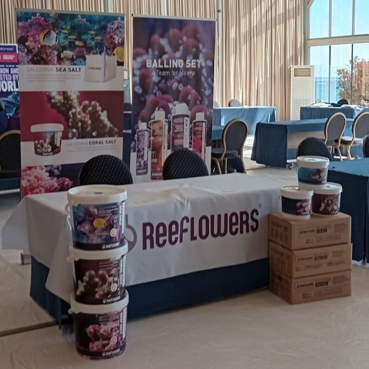 Reeflowers (@reeflowersrfl) on Twitter photo 