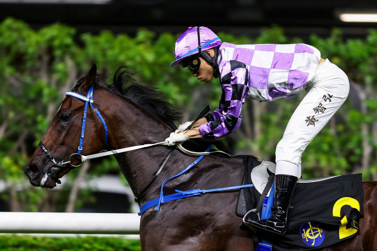 Caspar Fownes and Mark Newnham chase an early edge in the trainers' championship at Happy Valley's Wednesday night meeting. #HKracing

<a href="/pjrydo/">𝙿𝚊𝚞𝚕 𝚁𝚢𝚍𝚒𝚗𝚐</a> writes.

Read here 👉 racingnews.hkjc.com/english/2025/1…