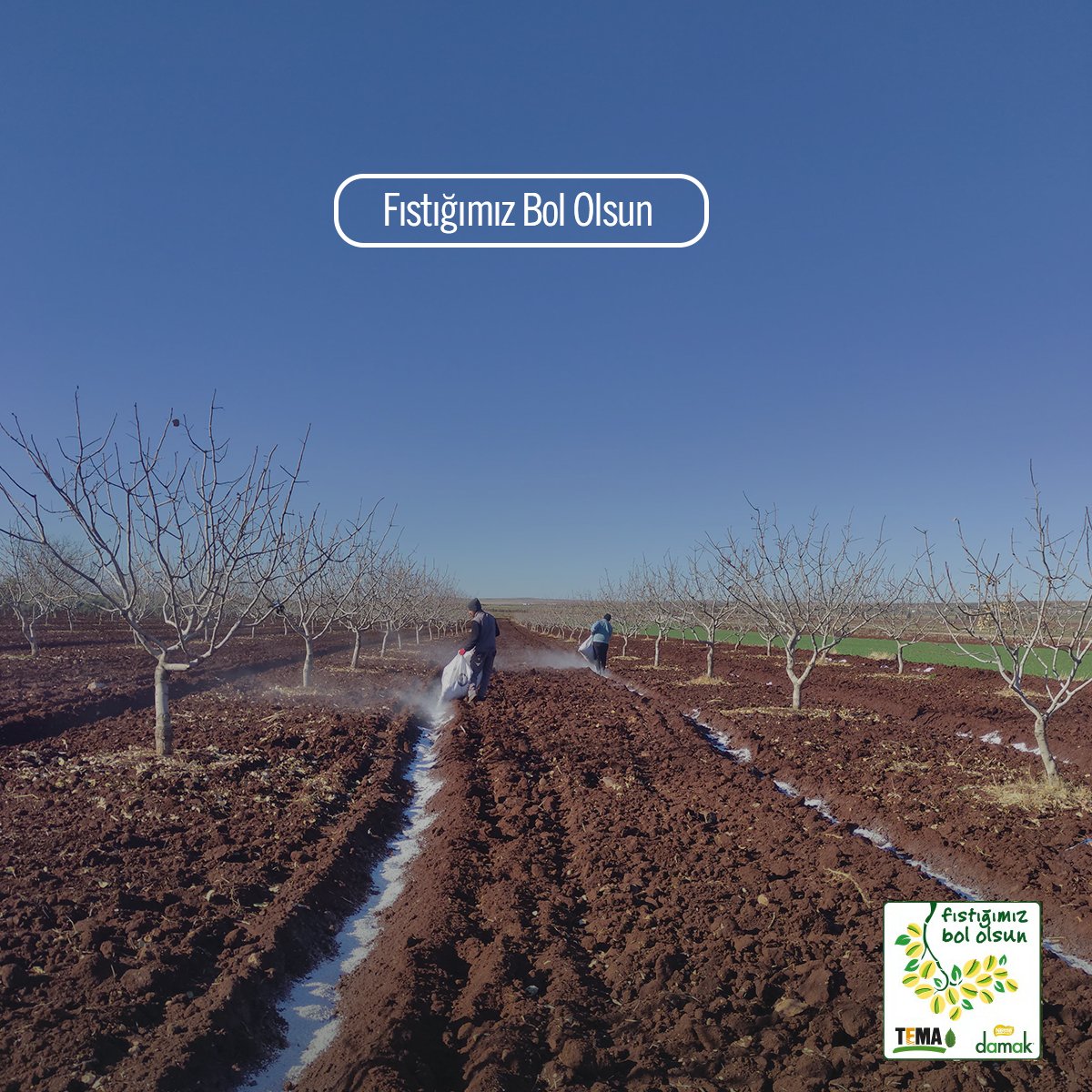 Araştırmalara göre kuraklık ve çölleşme riskinin en yüksek olduğu bölgelerden biri olan Güneydoğu Anadolu Bölgesi’nde, 2025 yılının ilk 11 ayında yağışlar, uzun yıllar ortalamasına göre %53 azaldı.

❗Bu veri, iklim değişikliğinin etkilerine karşı toprağı güçlendiren