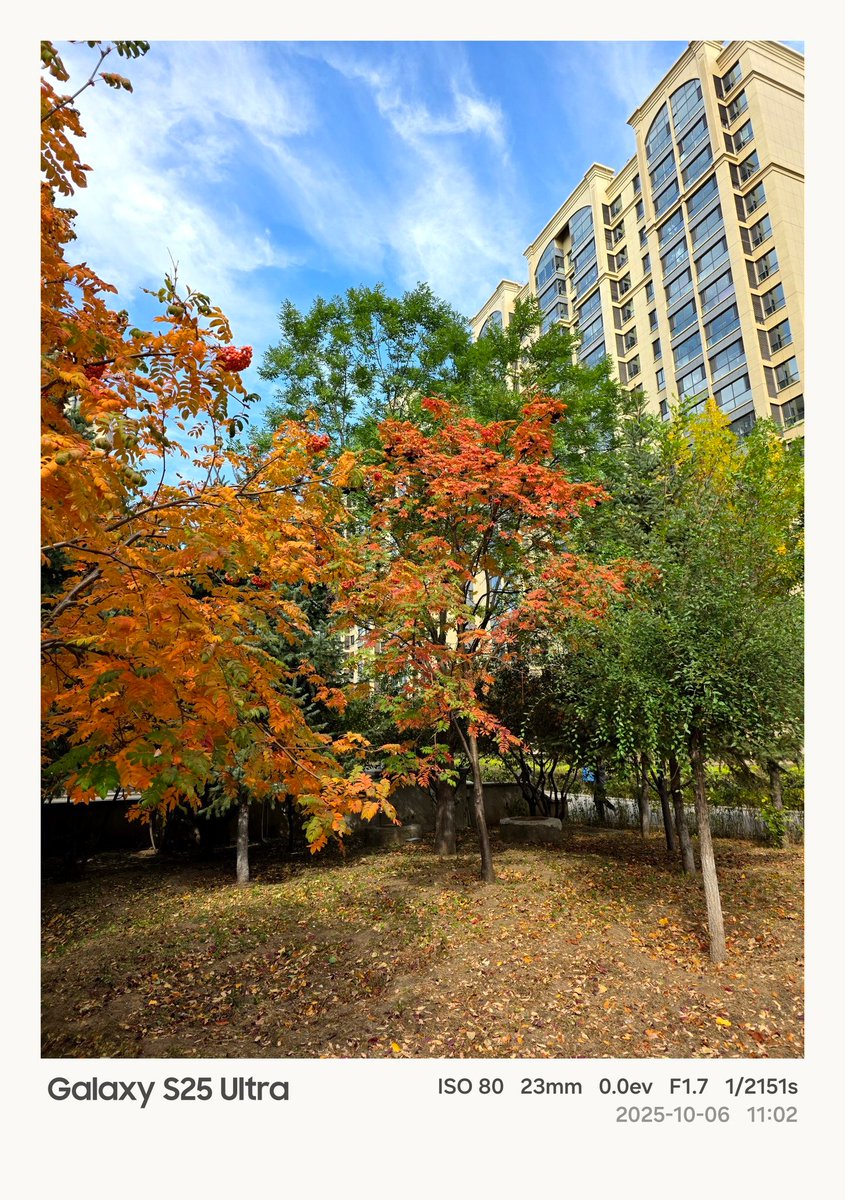 UniverseIce's tweet photo. I love autumn. https://t.co/ftNXXy6Xtz