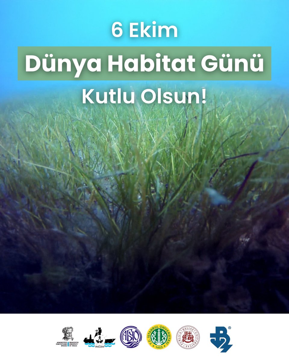 Bugün Dünya Habitat Günü! 🌿

Sağlıklı, dayanıklı ve üretken yaşam alanları için Karadeniz’in doğal habitatlarını korumanın geleceğimizi korumak olduğunu söylüyor, Dünya Habitat Günü’nü kutluyoruz!

#EfxINNOs #InterregNEXT #Karadeniz #DenizÇayırları #Seagrass #DünyaHabitatGünü