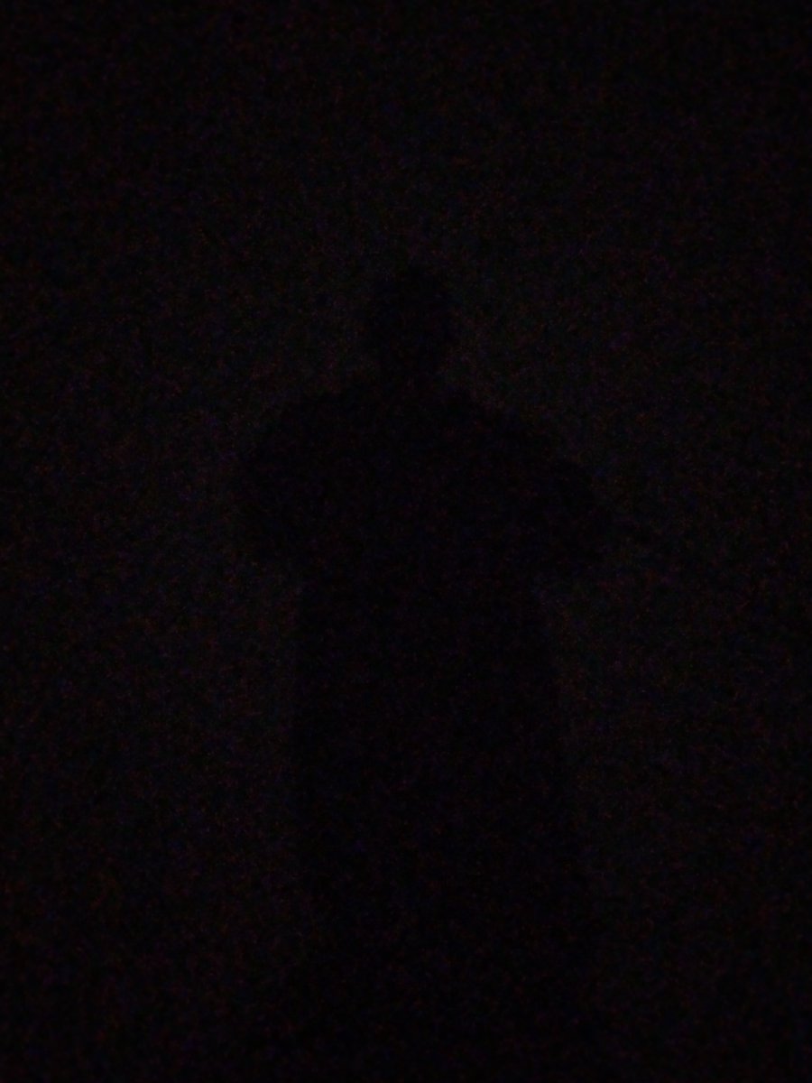 real_mjc's tweet image. Do not adjust your picture, look harder.  (meanwhile in casa grande)