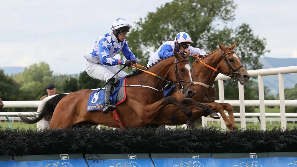 Monday Tips Posted! 📝

🏦 Strong NAP
🎯 7/1 

Can we land 6 Winning NAP's In A Row! ✅

BIG week of Tips &amp; Info coming up 👀 

Use code : October for 20% OFF ⬇️

patreon.com/FinnDogTips