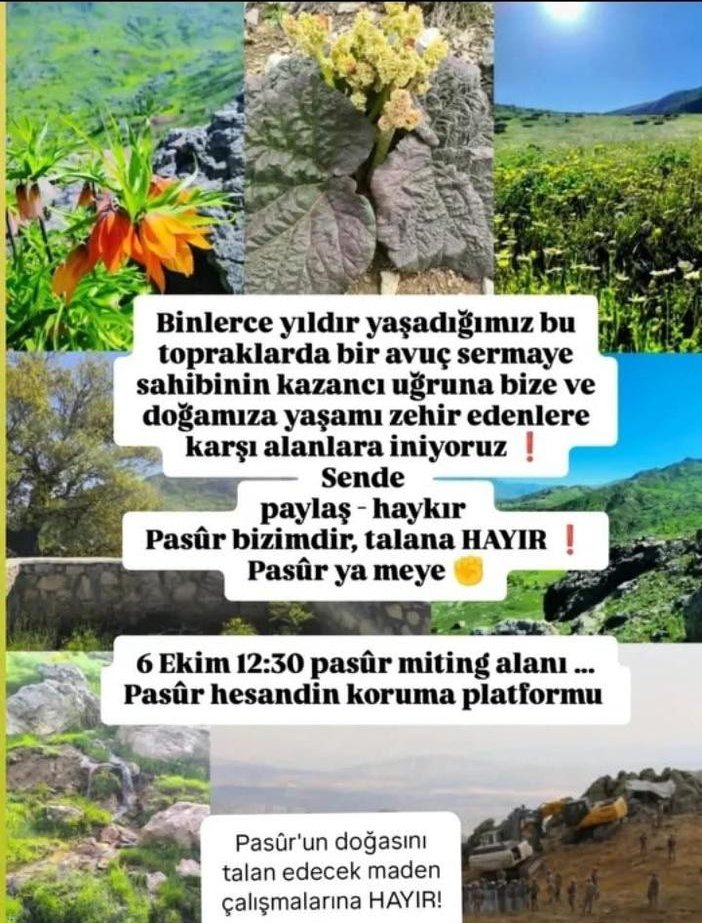 MSTanrikulu's tweet photo. 🔴 Hasandin Yaylası'ndaki doğa katliamına karşı tüm hemşehrilerimi, yurttaşlarımızı bugün 12.30'da Kulp'ta düzenlenecek mitinge katılmaya davet ediyorum. 

📌 Güvenlik gerekçesiyle maden faaliyetleri yürütülmeyen bölgede, şimdi bir talan zihniyetiyle, 20 yıl önce alınmış ve geçerliliği tartışmalı ÇED raporlarına dayanarak; dağlar, yaylalar, ormanlar yok edilmek isteniyor.

📌 Kulp ile Muş arasındaki Hasandin Yaylası’nda hiçbir izin belgesi olmadan dağlar kazılıyor, doğa katlediliyor.

📌 Mahkeme, Çevre ve Şehircilik İl Müdürlüğü’nden yazı istiyor, gelen cevap: “Su baskını nedeniyle tahrip olmuştur”

📌 Bu ülkede artık talanın, rantın, yağmanın önünde hiçbir engel kalmamış ve bu düzeni sorgulayacak tek bir yetkili yok!

#Kulp #HasandinYaylası #Pasur