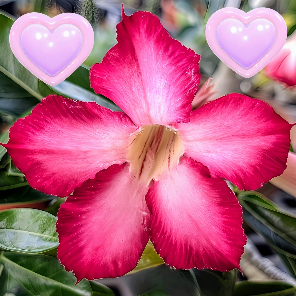 りおんページ♡⃜ ☀️まっちゃん☀️ For you🤝 on X